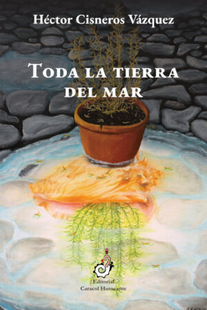 Toda la tierra del mar